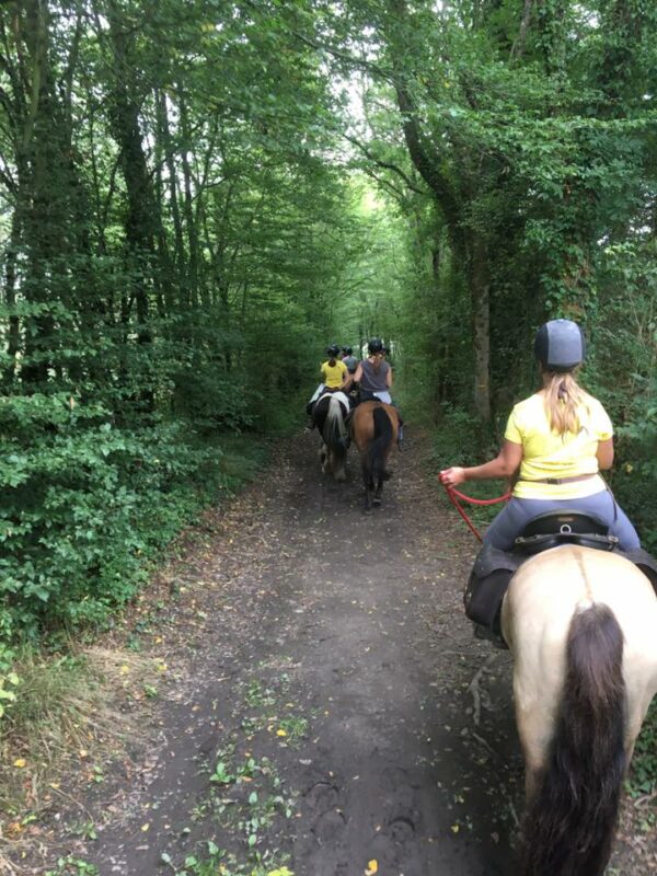 balade à dos de cheval en groupe